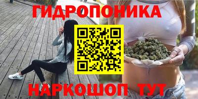ECSTASY Среднеуральск