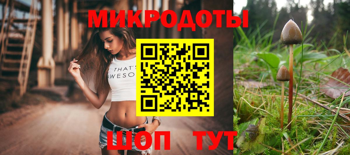 Галлюциногенные грибы Psilocybine cubensis  Вход с VPN  Галлюциногенные грибы Cubensis  Моздок 